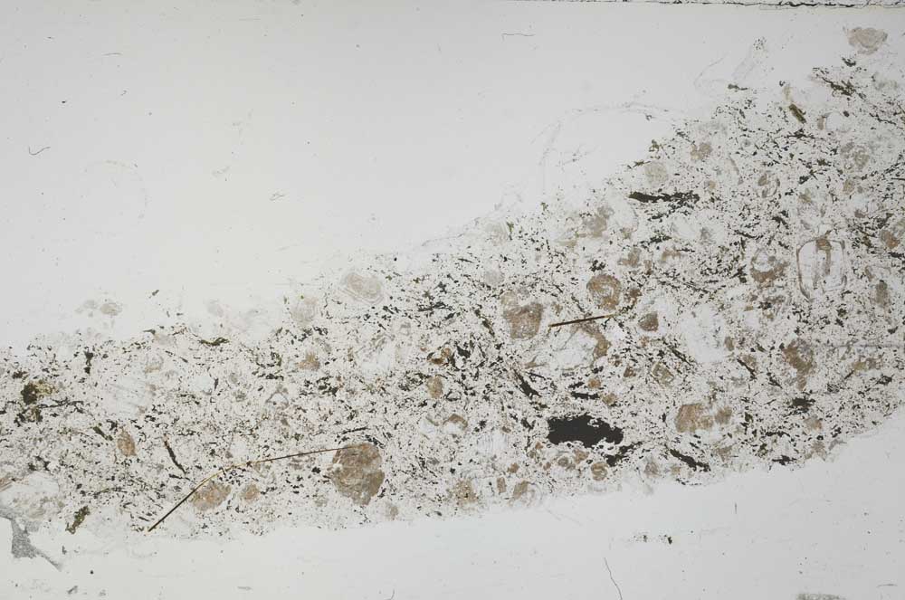 Plane Polarized, S55340