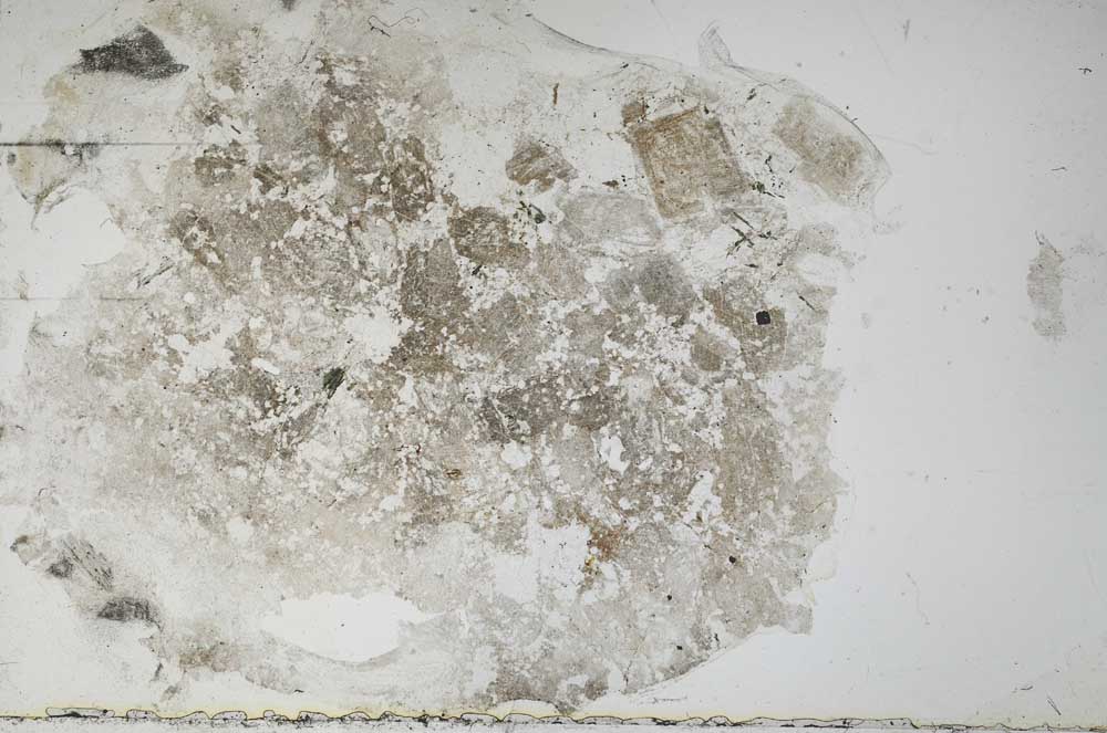 Plane Polarized, S55341