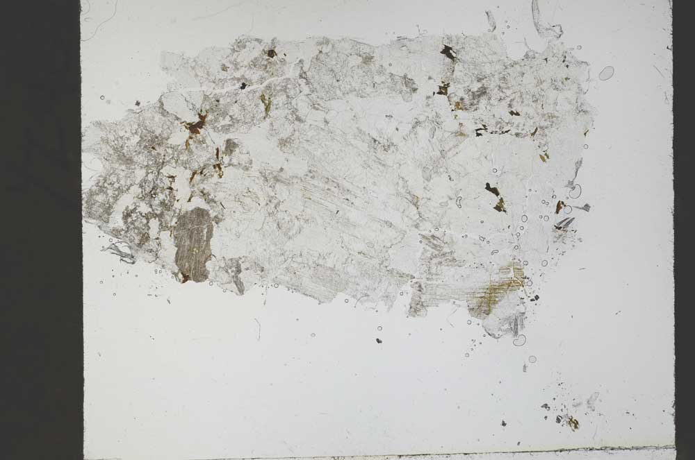 Plane Polarized, S55343/A