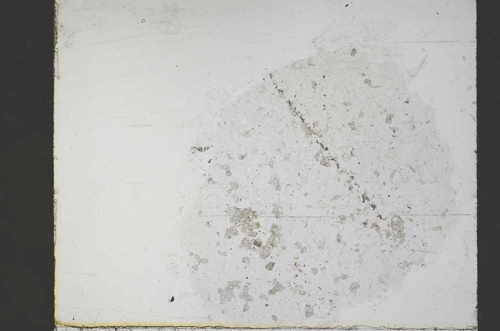 Plane Polarized, S55353