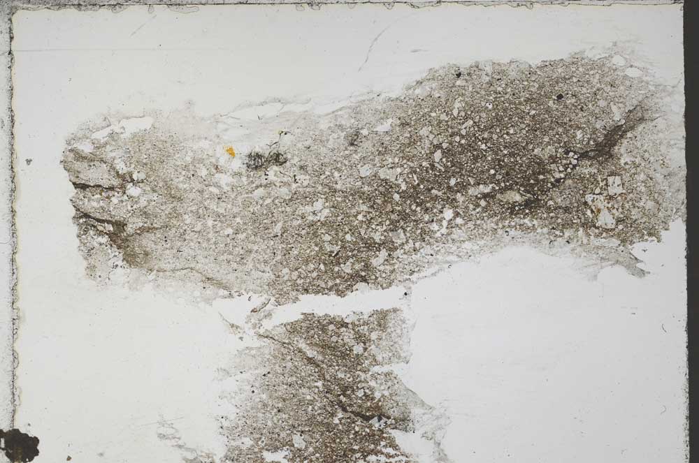 Plane Polarized, S55358