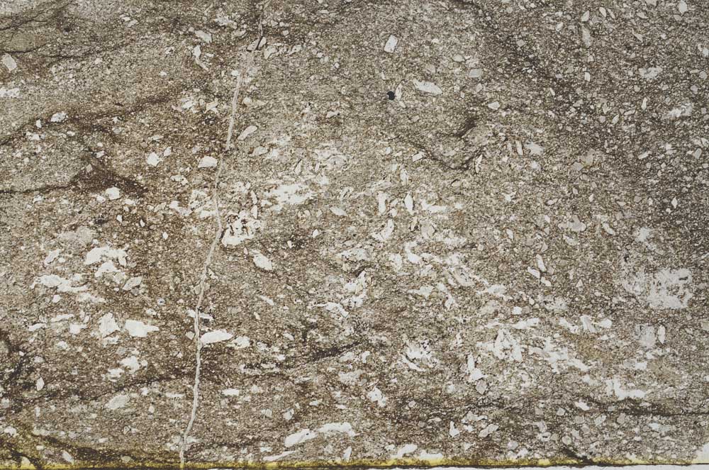 Plane Polarized, S55358/A