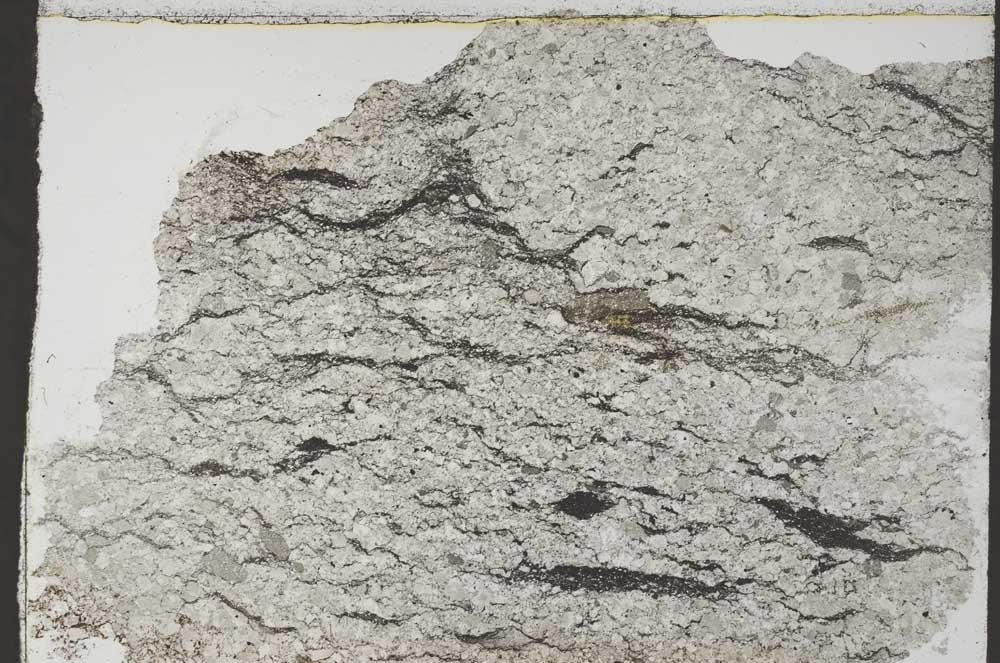 Plane Polarized, S55359