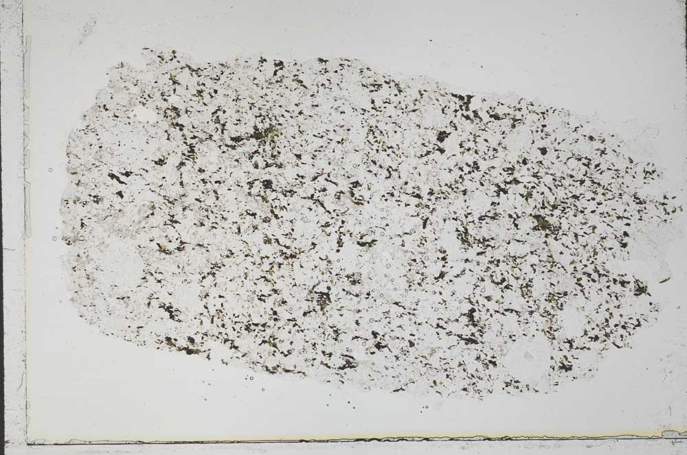 Plane Polarized, S55363