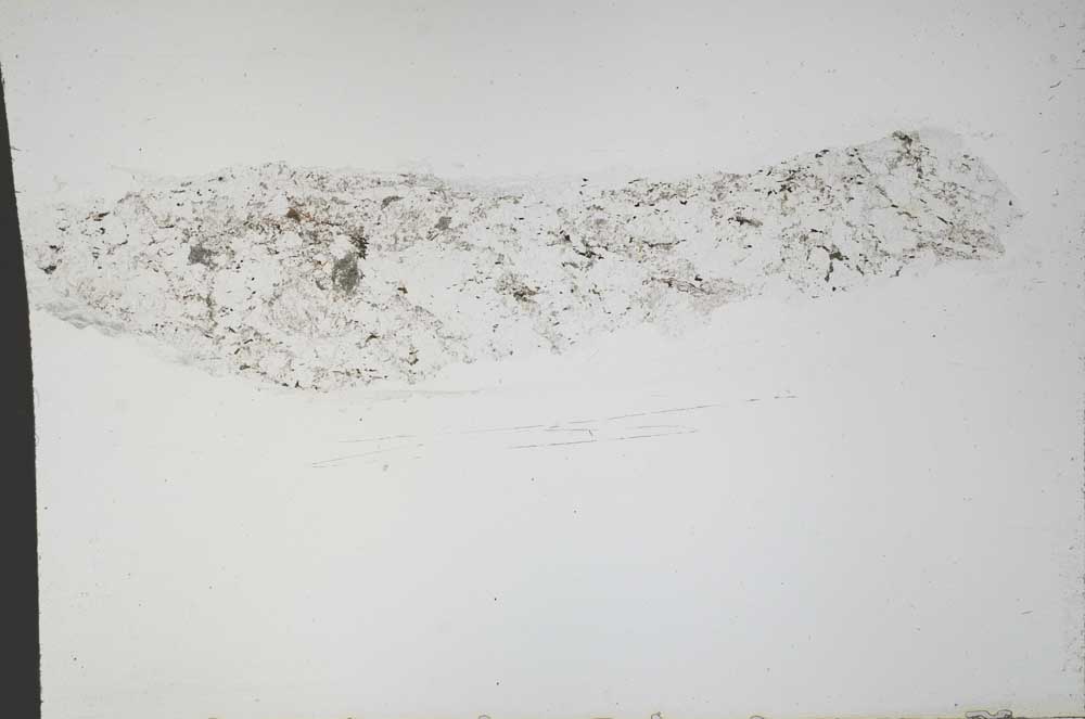 Plane Polarized, S55364