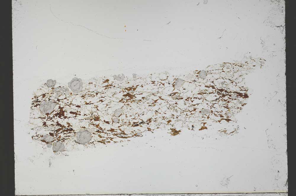 Plane Polarized, S55367