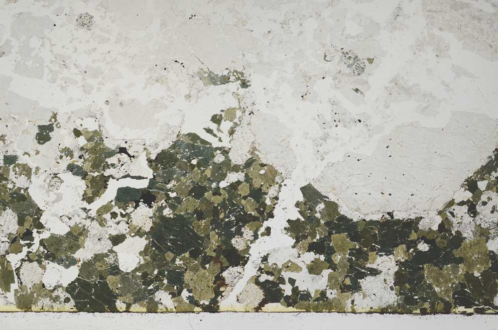 Plane Polarized, S55399