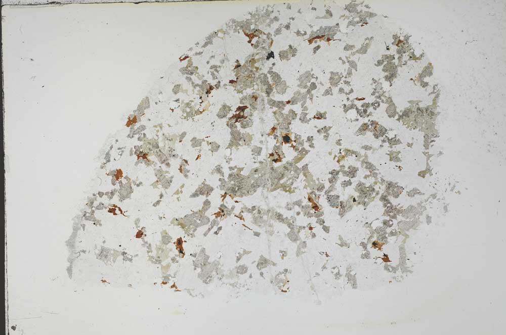 Plane Polarized, S55417