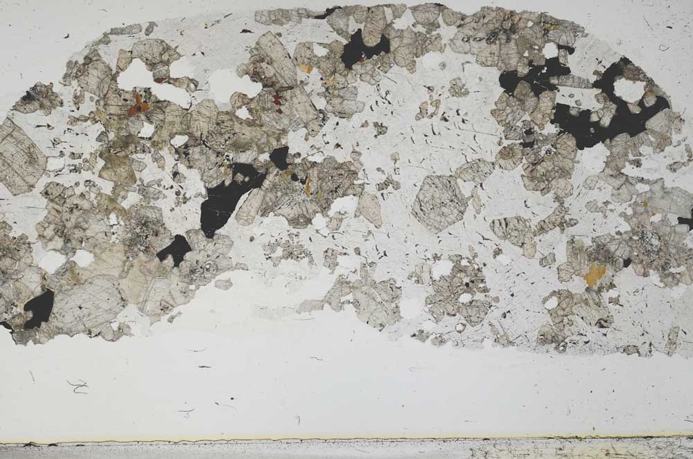 Plane Polarized, S55423