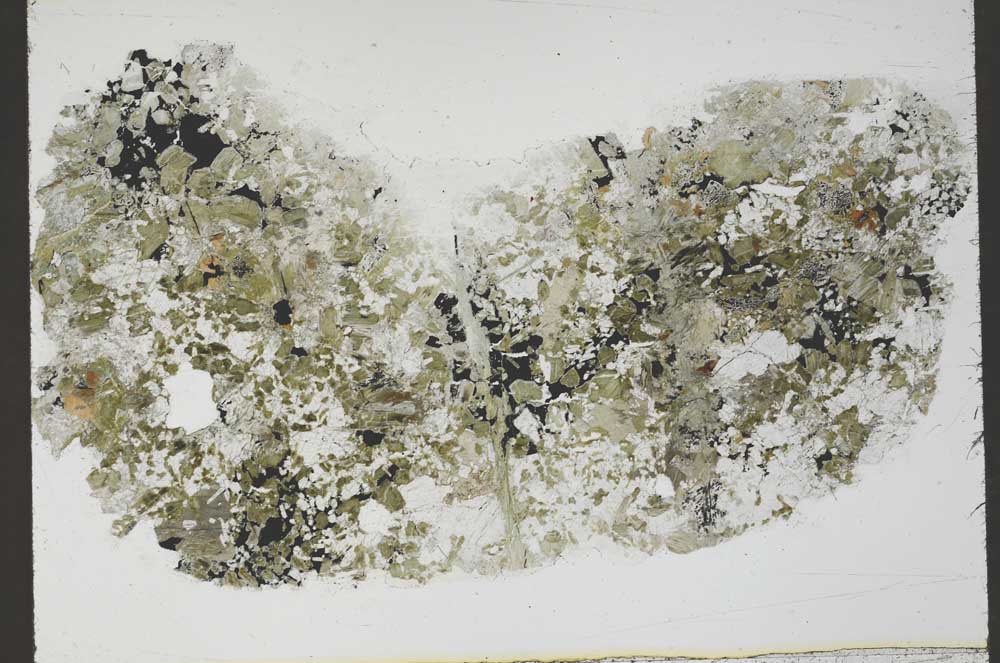 Plane Polarized, S55443