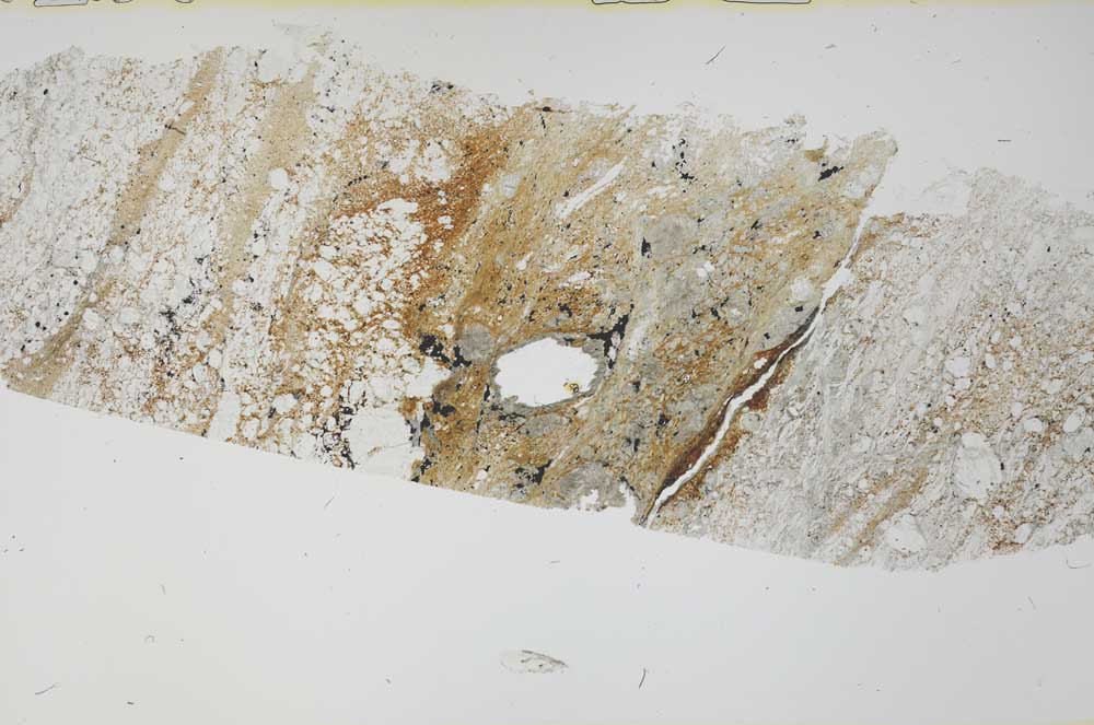 Plane Polarized, S55447