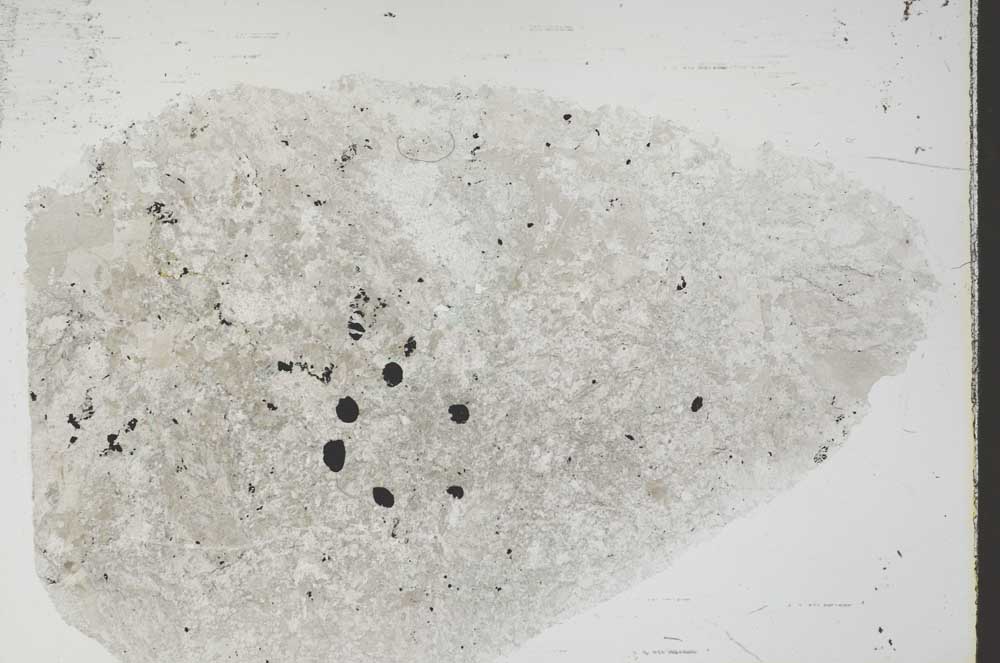 Plane Polarized, S55463