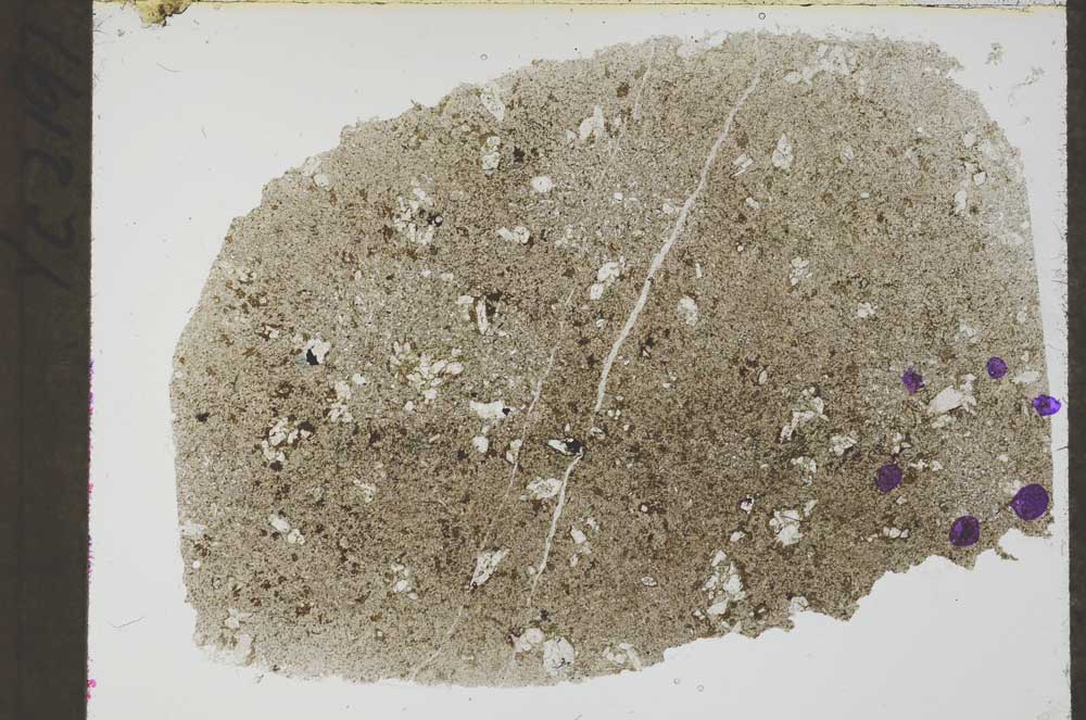 Plane Polarized, S55464