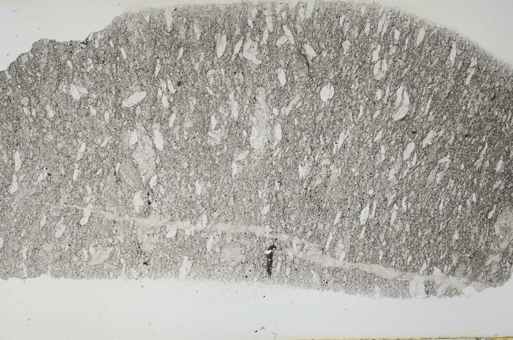 Plane Polarized, S55465