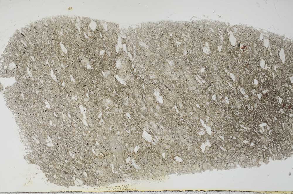 Plane Polarized, S55466