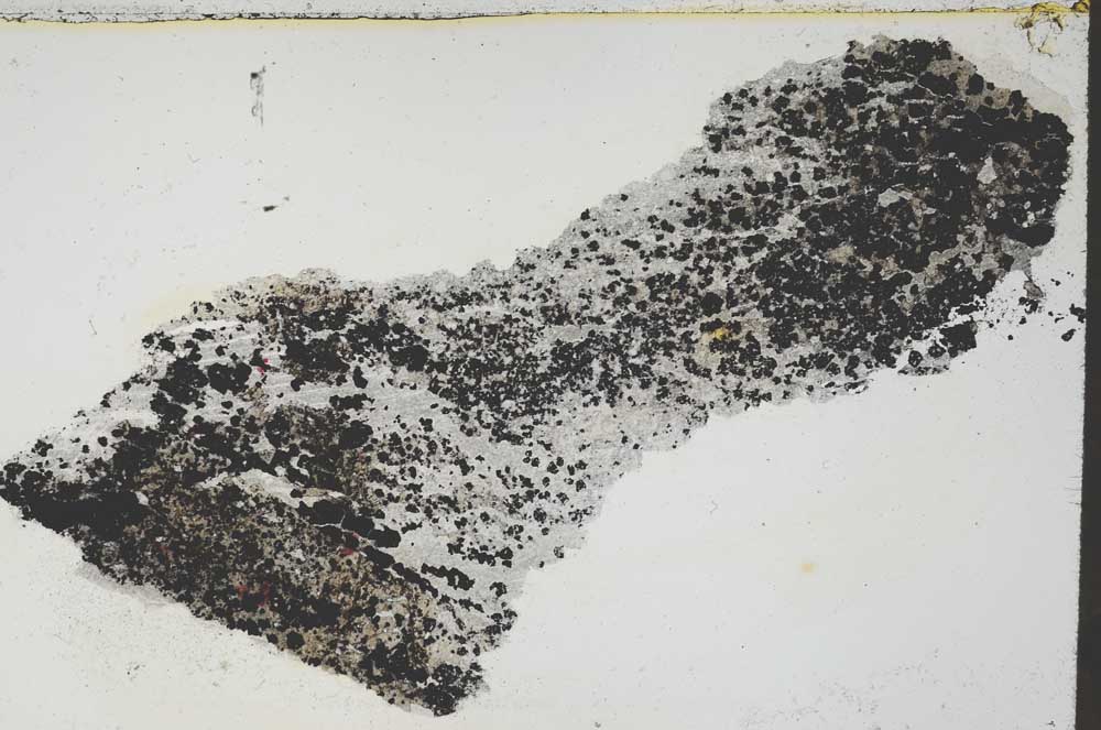 Plane Polarized, S55467