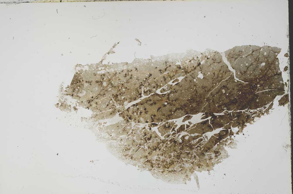 Plane Polarized, S55469