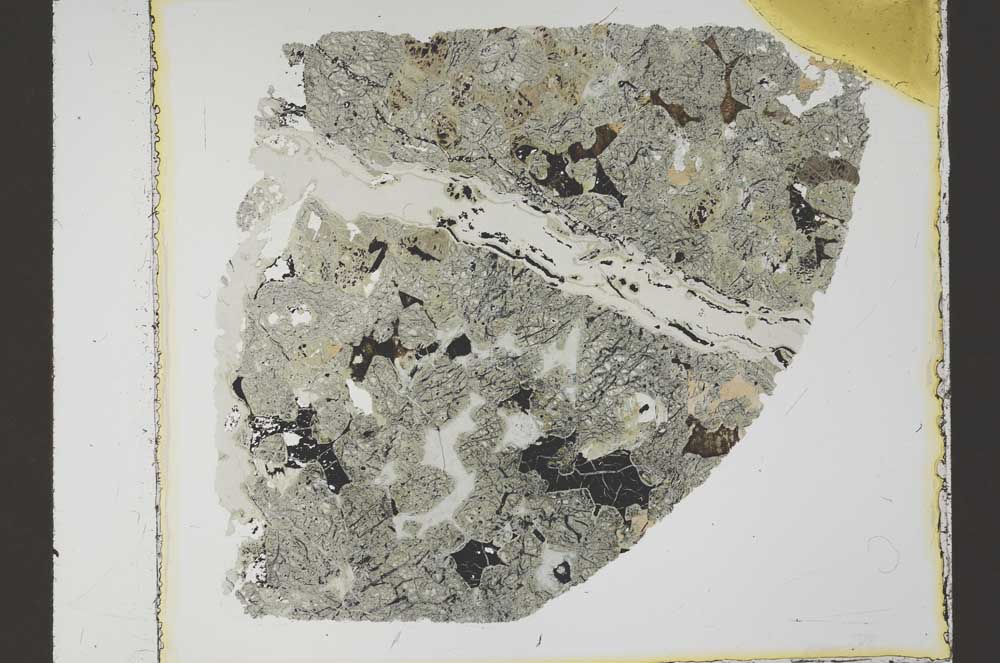 Plane Polarized, S55474