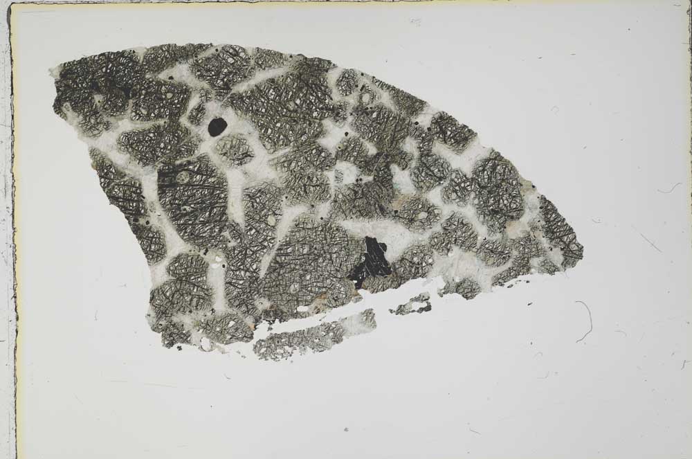 Plane Polarized, S55475