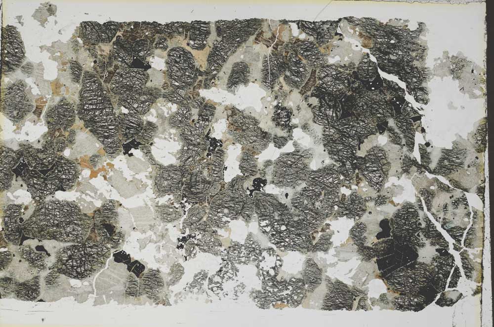 Plane Polarized, S55476