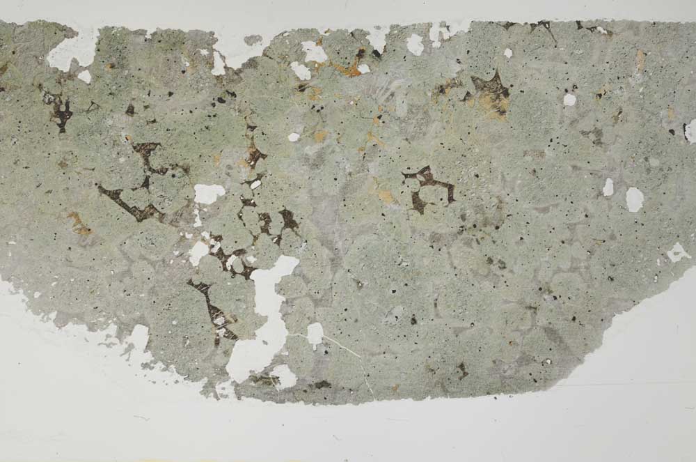 Plane Polarized, S55480