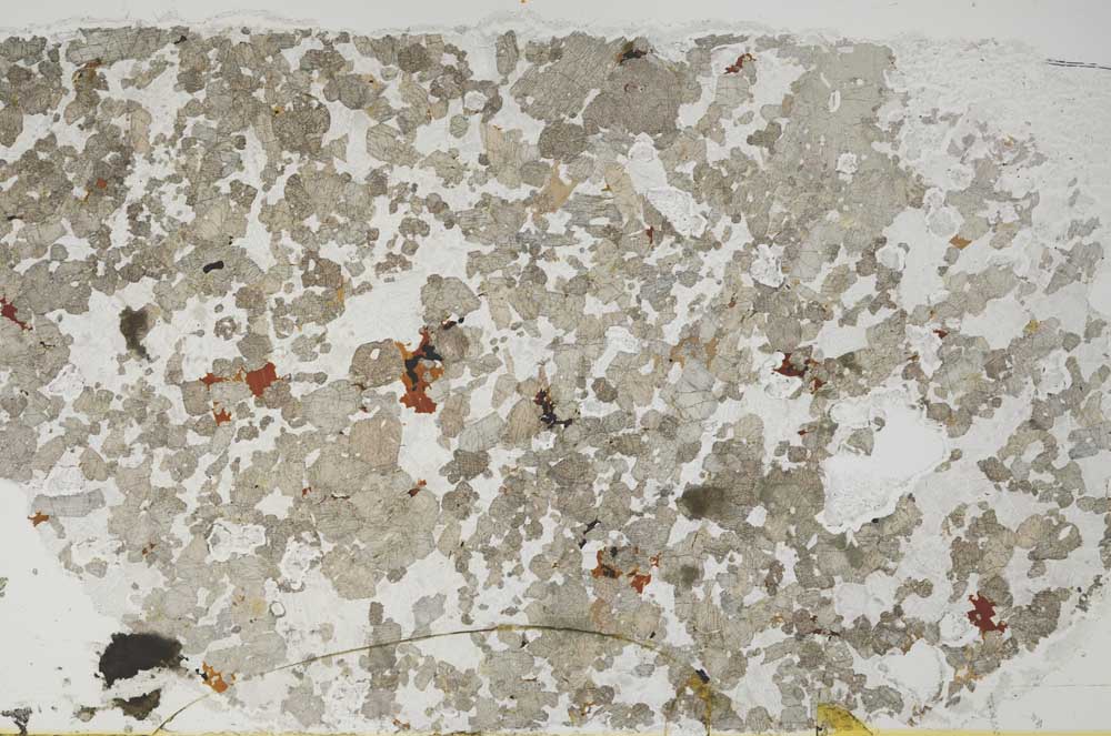 Plane Polarized, S55482