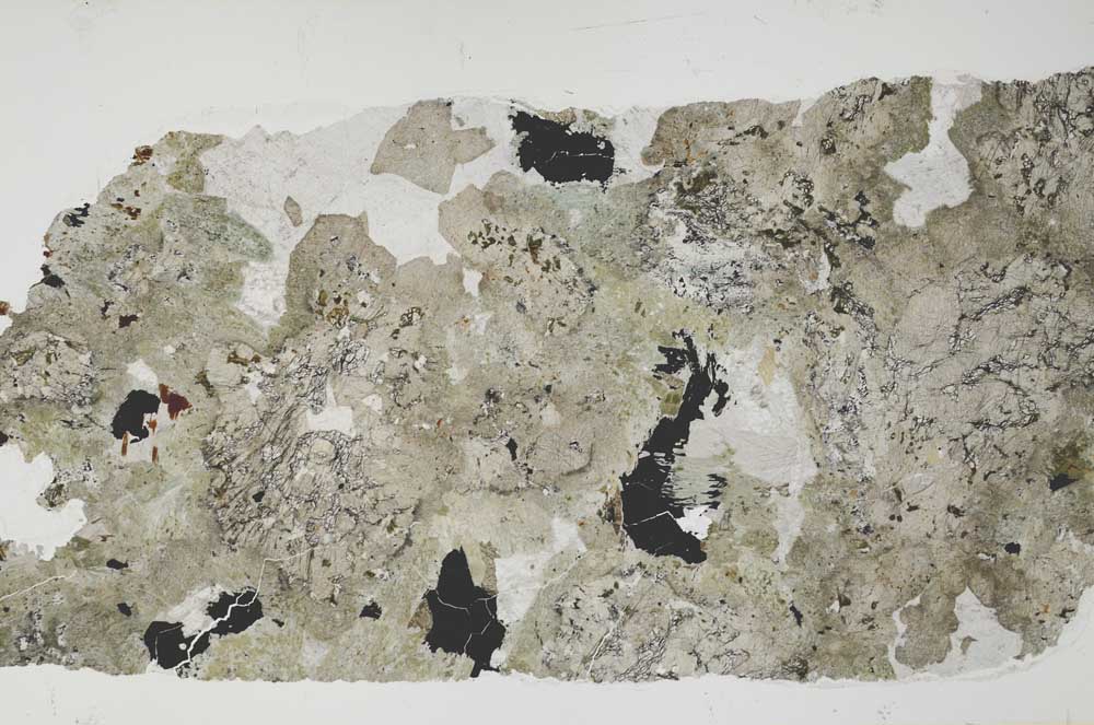 Plane Polarized, S55483