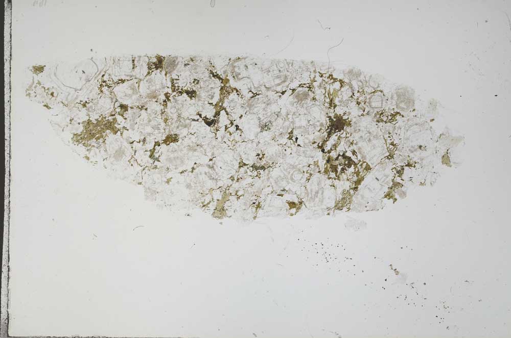 Plane Polarized, S55496