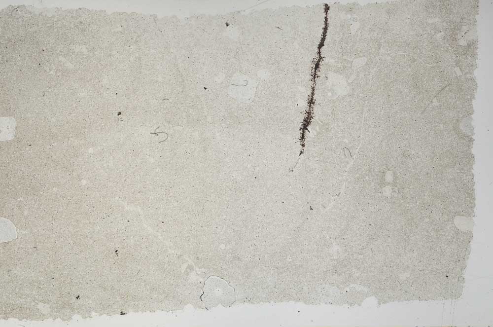 Plane Polarized, S55563