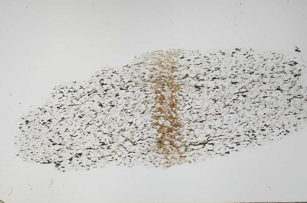 Plane Polarized, S55506