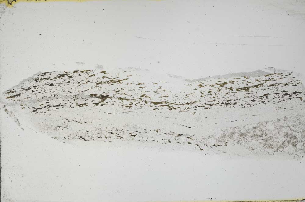 Plane Polarized, S55510