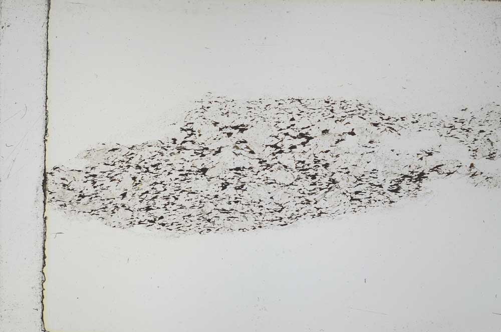 Plane Polarized, S55514