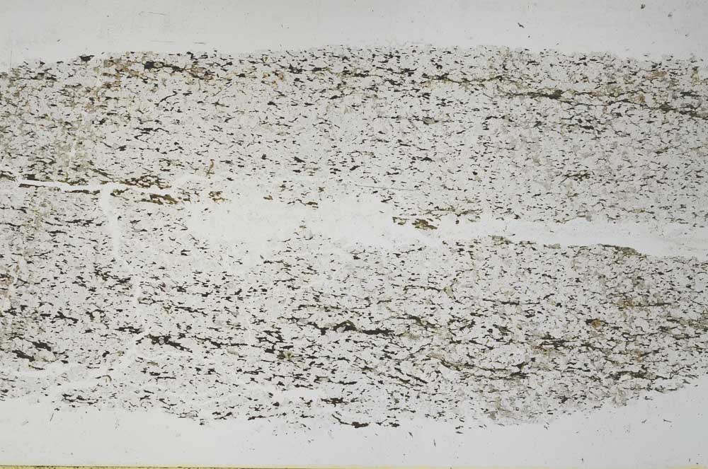Plane Polarized, S55518