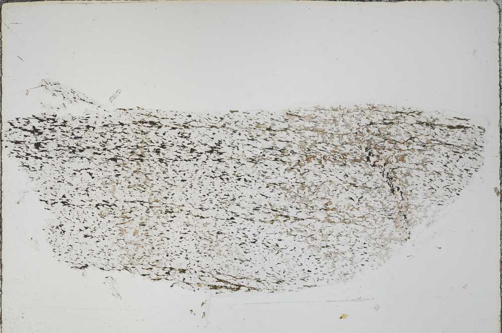 Plane Polarized, S55521