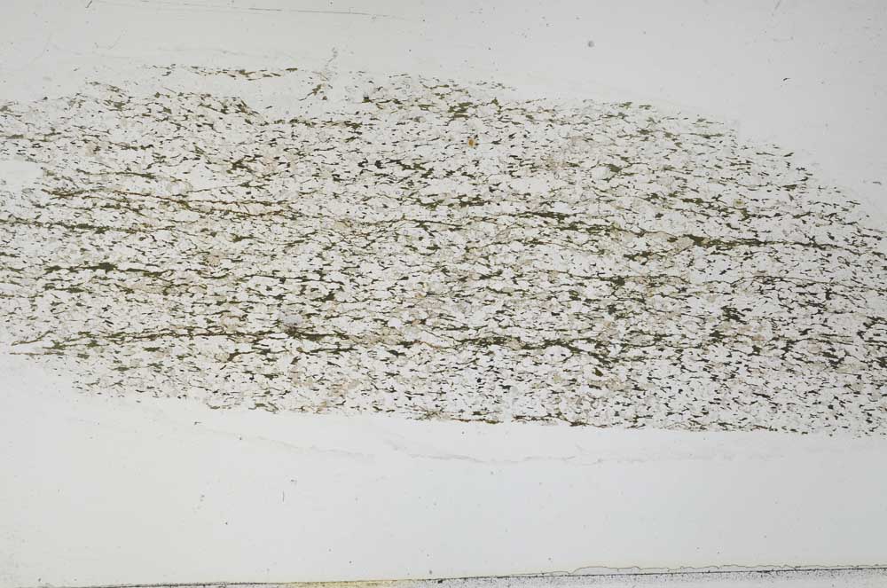 Plane Polarized, S55522