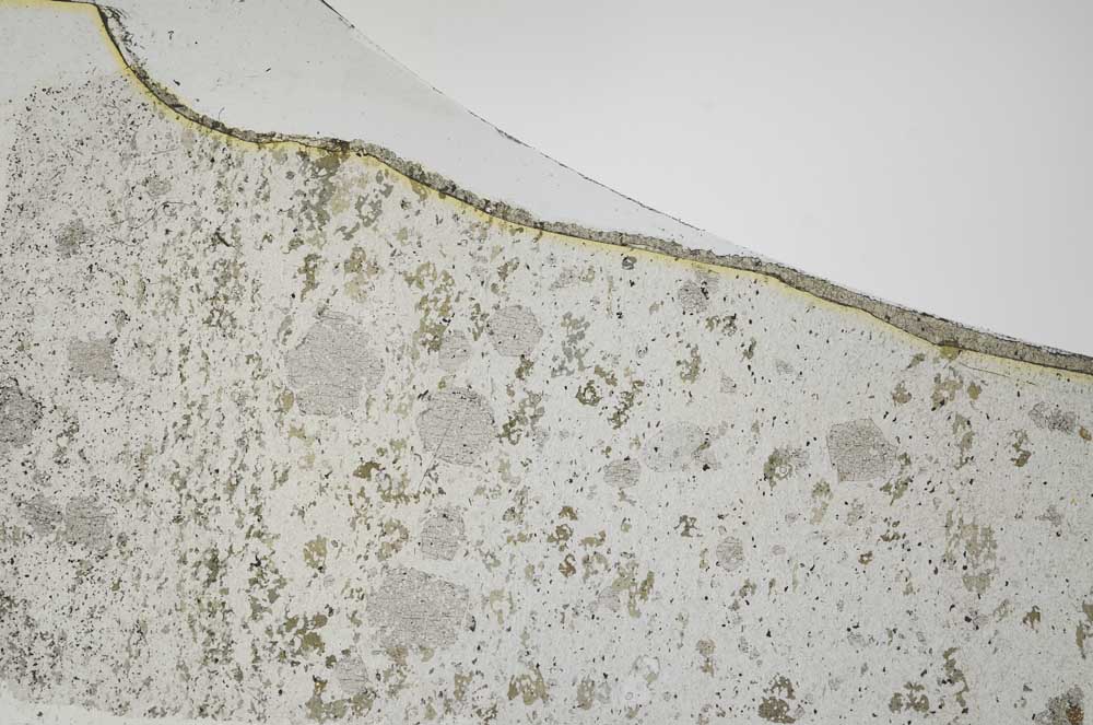 Plane Polarized, S55531