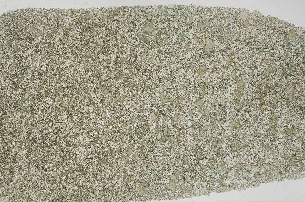 Plane Polarized, S55539