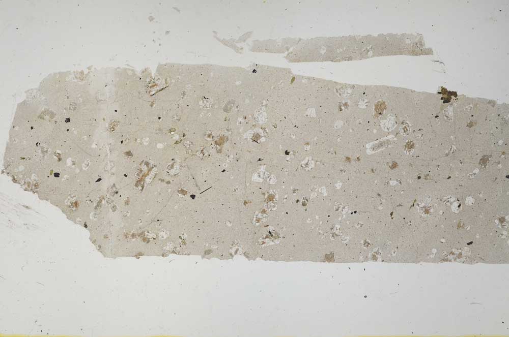 Plane Polarized, S55548