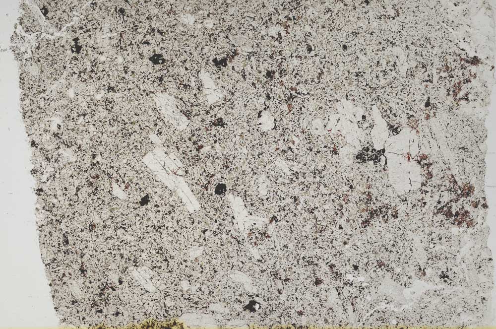 Plane Polarized, S55618