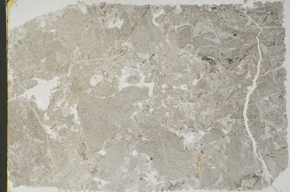 Plane Polarized, S55635