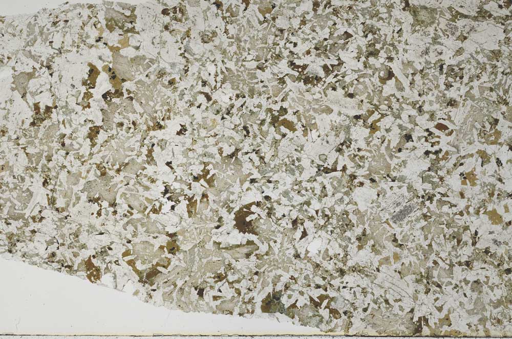 Plane Polarized, S55664