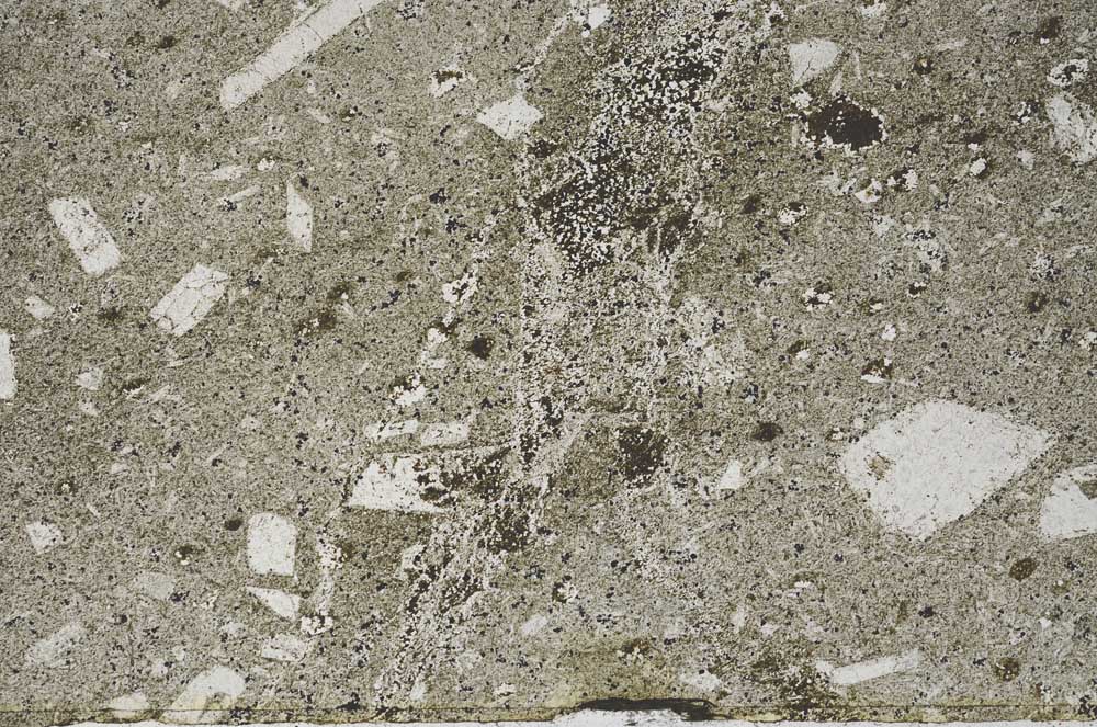 Plane Polarized, S55720