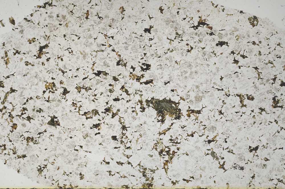 Plane Polarized, S55751