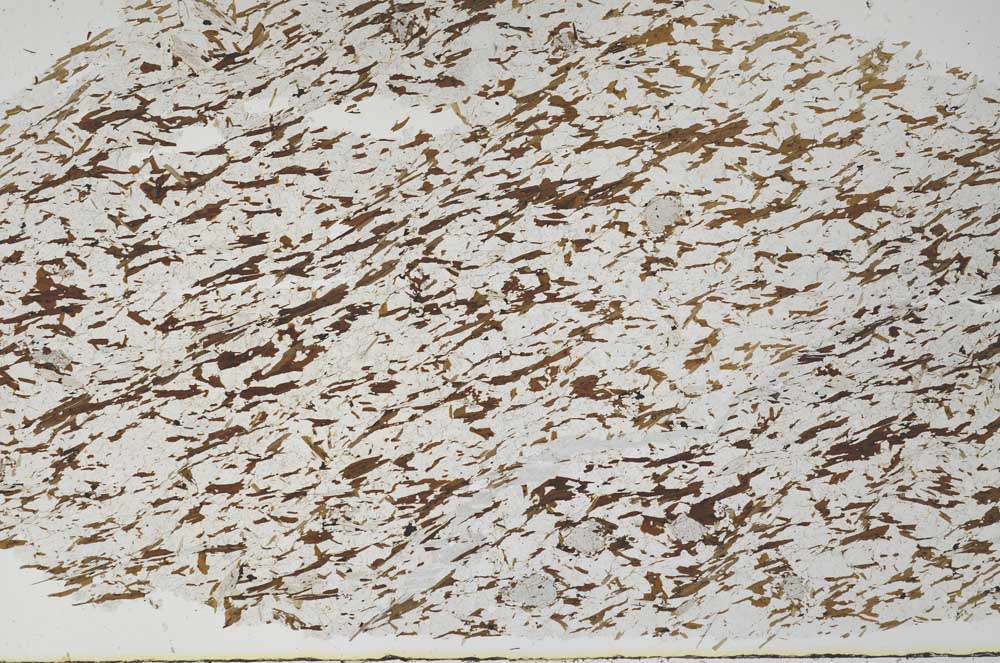 Plane Polarized, S55766