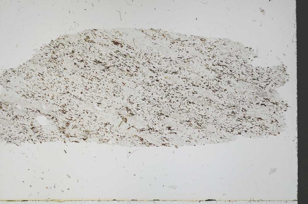 Plane Polarized, S55768