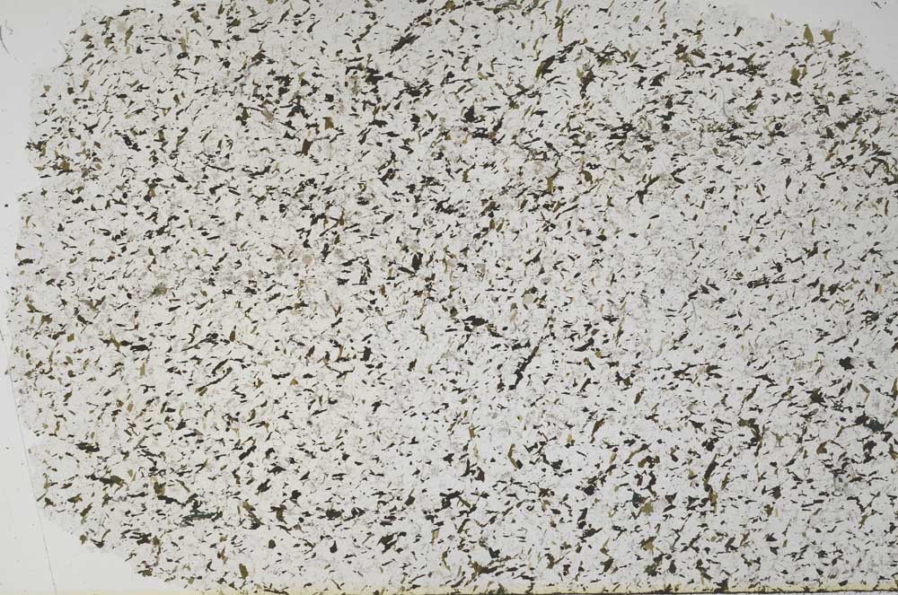 Plane Polarized, S55769