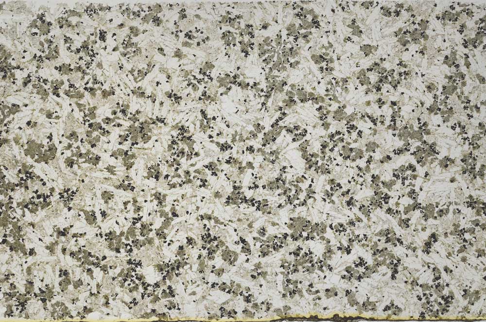 Plane Polarized, S55795