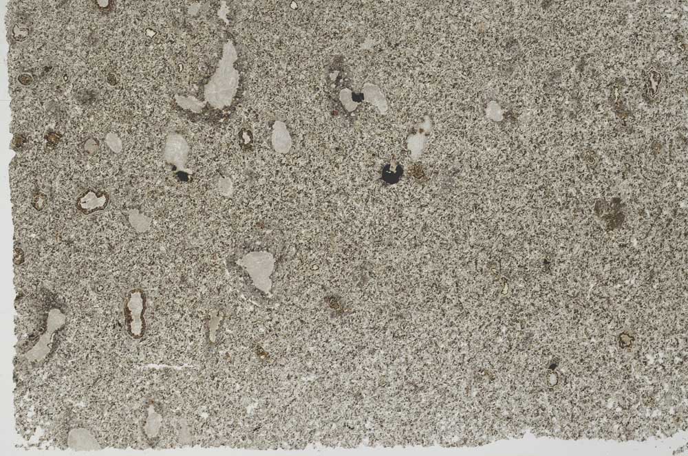 Plane Polarized, S55807