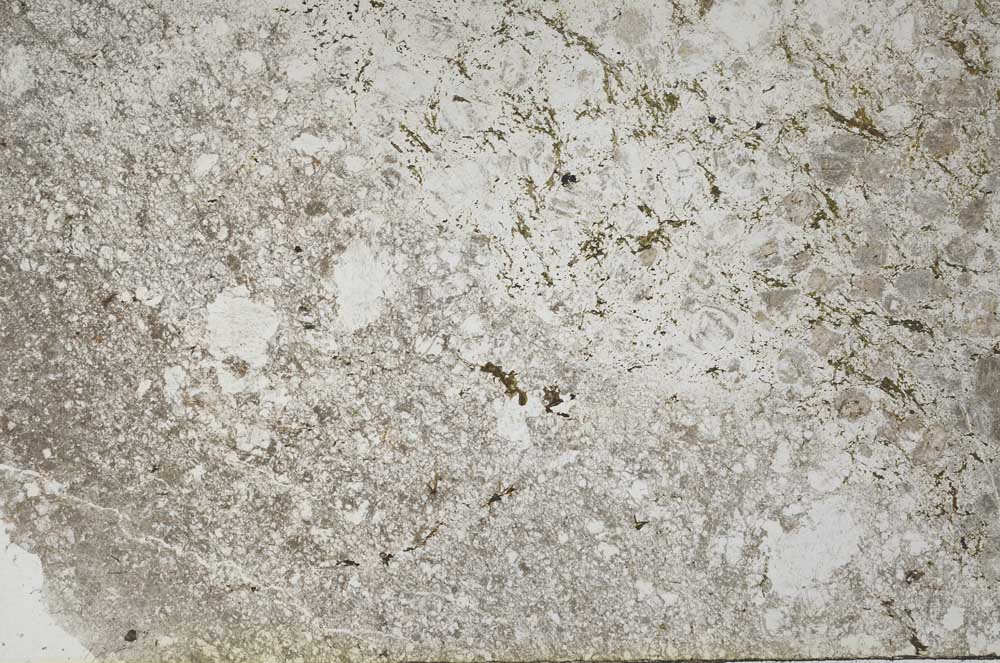 Plane Polarized, S55824