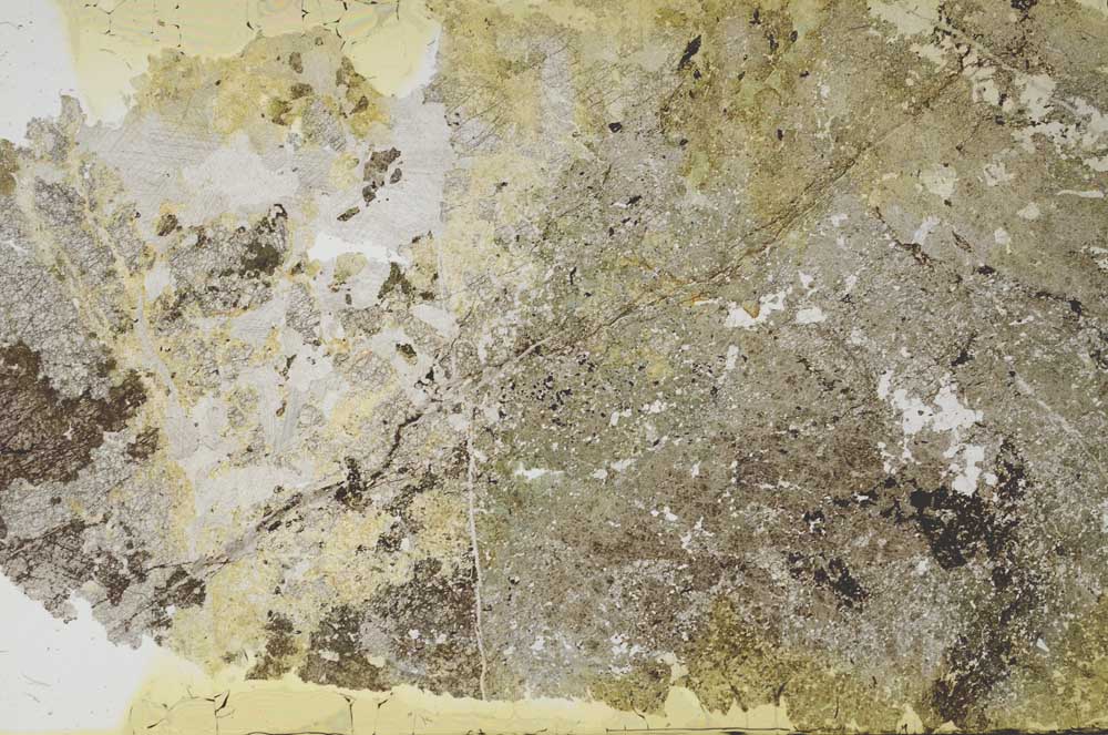 Plane Polarized, S55835